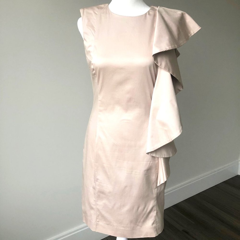 French Connection/FCUK. Blush pink fitted dress. US 4